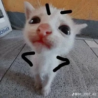 con quỷ hệ thống