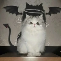 hệ thống 017 (muzi)