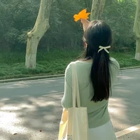 Phạm Anh Thư ( mẹ kế Quang Anh )