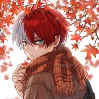 Shoto Todoroki
