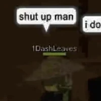1DashLeaves