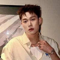 Trần Đăng Dương( Dương Domic )