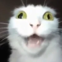 Tác Giả~~