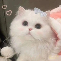 MINHKID