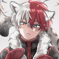 Shoto Todoroki