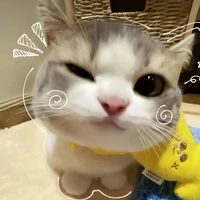 All nhóm(trừ ai thì trừ)