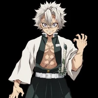 Shinazugawa Sanemi(phong trụ)