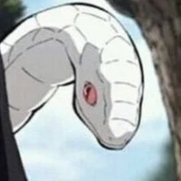 Kaburamaru (con rắn của obanai)