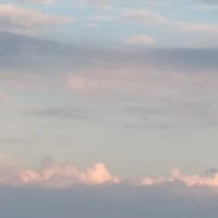 All ( trừ người nào thì trừ )