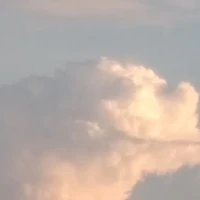 All top ( trừ người nào thì trừ)