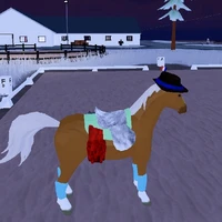 yoshi(chủ đàn ngựa mang tên miyoho)