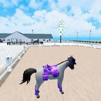 thành viên mới mang tên haki