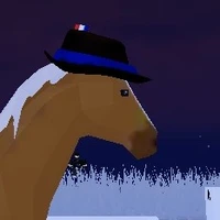 có dưới miyohato