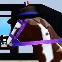 cấp dưới miyohato