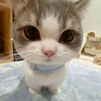 T/g mới Trốn Trại