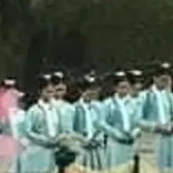 các nô tì( Khải Tường)