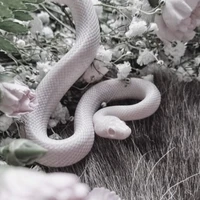 CLB Võ Thuật l @CLB_Vo_Thuat