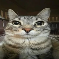 t/g