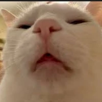 Nhìn cái chóa gì