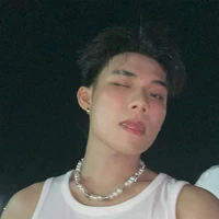 Hữu sơn(swan nguyễn)