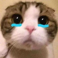 Hệ thống " mini "