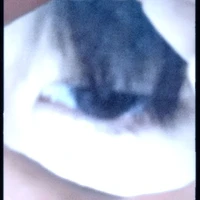 tao là tgia chớ ai má