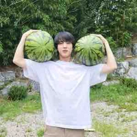 Kim SeokJin ( Ba Cô )