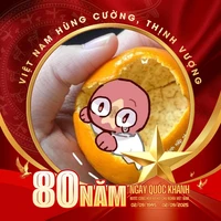simp Việt Nam [Tân cương]