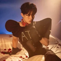 Nguyễn Thanh Pháp (pháp kiều)