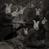 🐰🐇