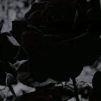 Một Số Nhân Vật/Người Bí Ẩn