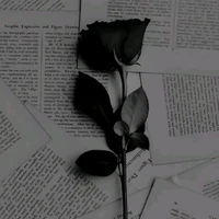 𝐇𝐚̀𝐃𝐮♪