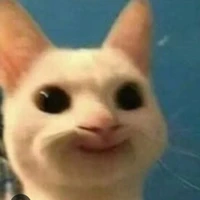 t/g =)🤡