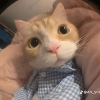 bây bii hả em tớii chuaa