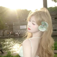 Tô Nhược Lan