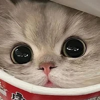 sachiko (dạng mèo)