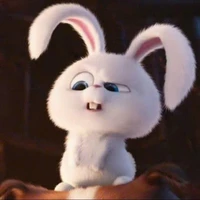 Yêu nhất Ảnh đế Kim kê lần thứ 38🤭