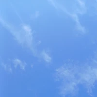 all