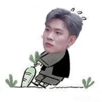 cọng dây kết nối DH 