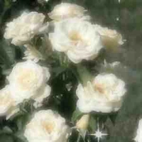 All(Trừ một số trường hợp)