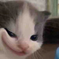 Hệ thống VIP bờ rồ