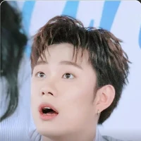 Trần Đăng Dương - Dương Domic