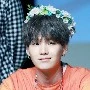 suga