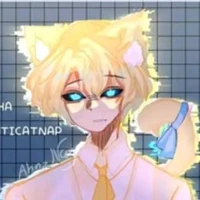 hiha anti catnap