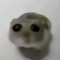 Tôi là Tamig୨ৎ ₊˚