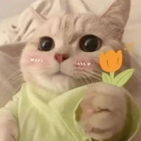 all bot ( trừ ai cần trừ )
