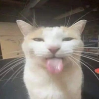 t/g