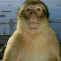 ba Châu