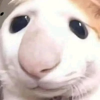 you:^