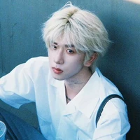 ♊︎ Chử Diêu Song Tử┇@𝐠𝐞𝐦 °𝗣°